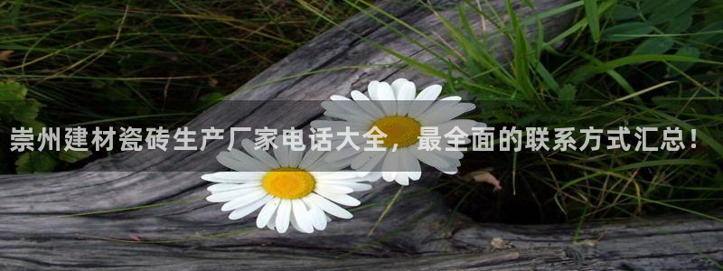 杏鑫平台线路测速