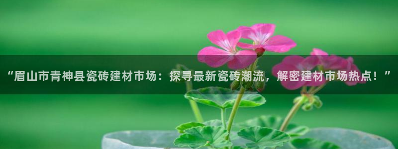 杏鑫平台是黑平台吗