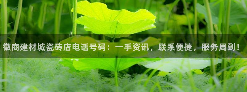 杏鑫平台招商电话