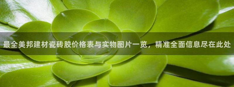 杏鑫官方平台怎么样啊知乎