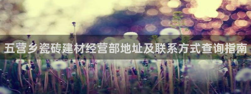 杏鑫手机客户端怎么下载