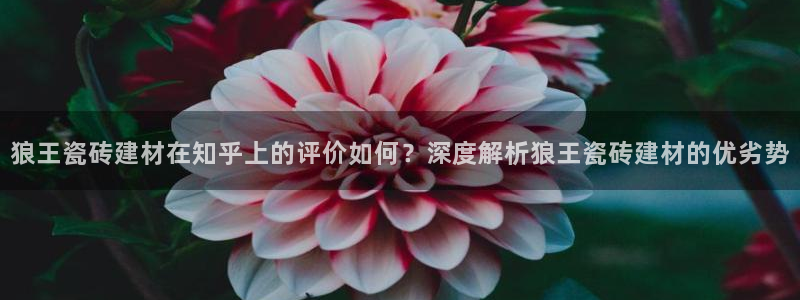 杏鑫官方平台怎么样啊知乎