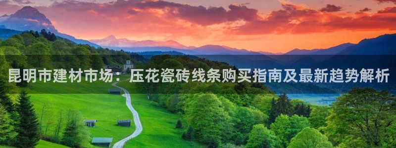 杏鑫娱乐开发团队