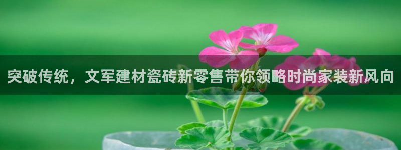 杏鑫娱乐是合法的吗?
