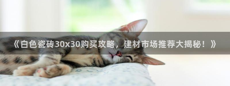杏鑫平台官方网站