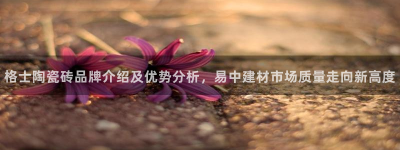 杏鑫娱乐怎么样