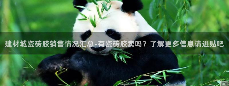 杏鑫平台念7O777