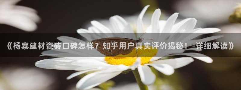 杏鑫平台招商电话是多少