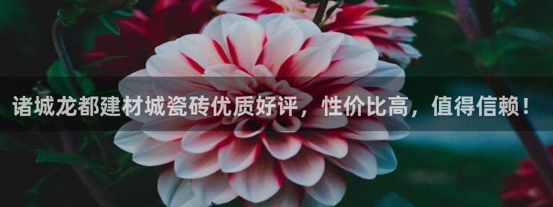 杏鑫平台代理怎么样啊