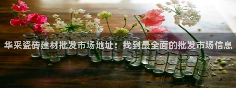 杏鑫平台招商