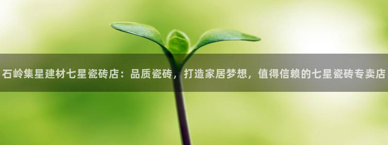 杏鑫主管