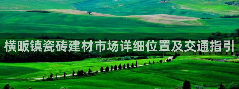 杏鑫平台野马联盟怎么样
