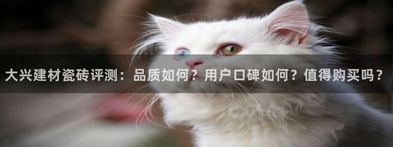 杏鑫招商总代