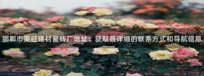 杏鑫娱乐是合法的吗?