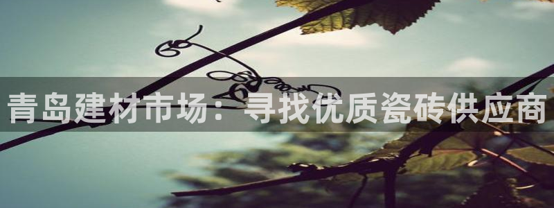 杏鑫官网