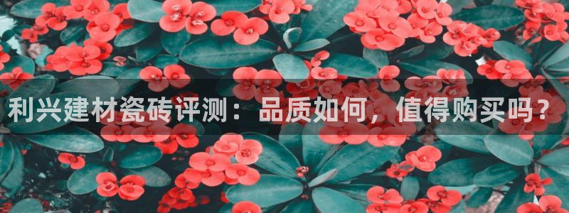 杏鑫主管