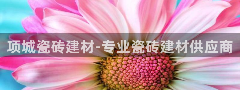 杏鑫平台线路测速