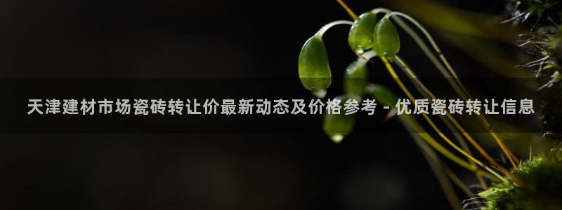 杏鑫娱乐官方网站客户端下载