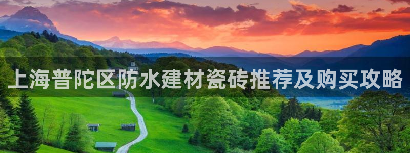 杏鑫平台野马联盟怎么样