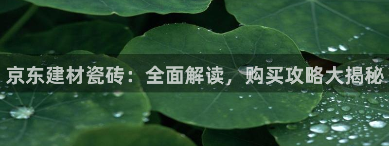 杏鑫娱乐是真的吗还是假的