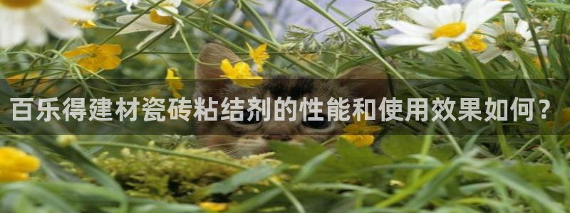 杏鑫娱乐平台测速怎么样