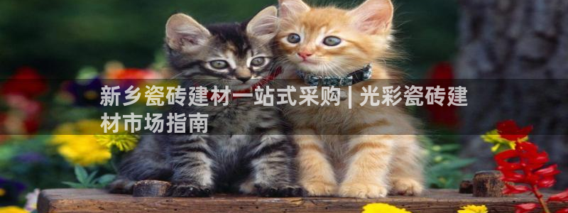 杏鑫平台代理怎么做的