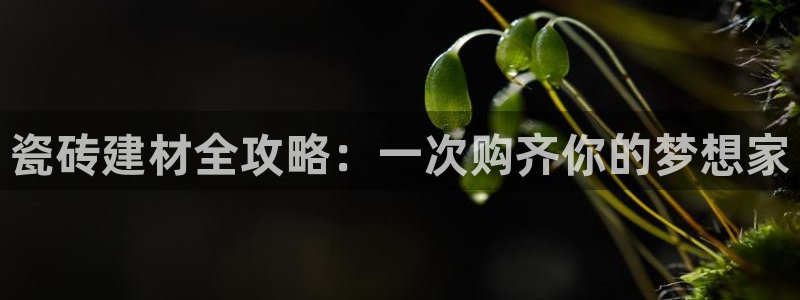 杏鑫招商总代