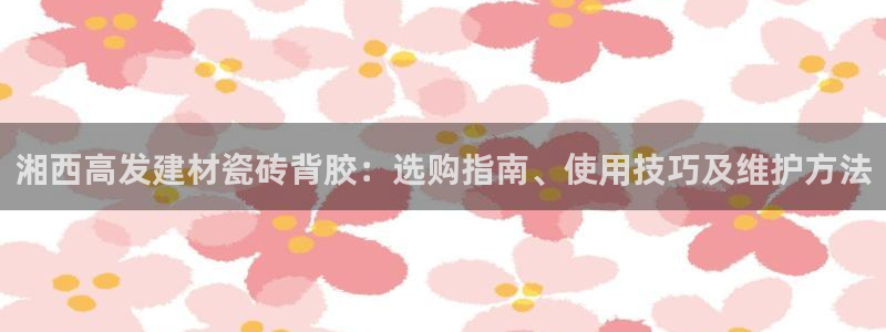 杏鑫平台测速怎么样