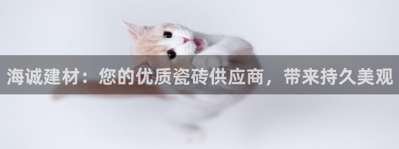 杏鑫平台代理怎么做的