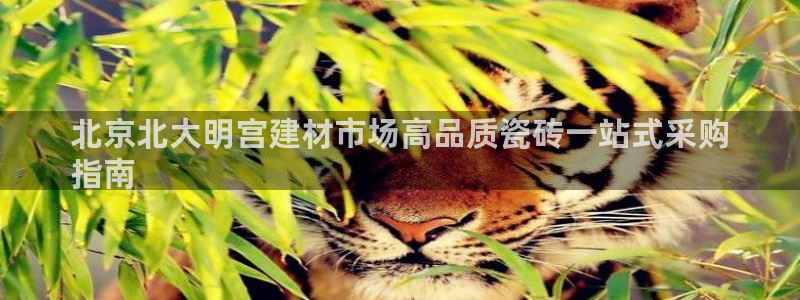 杏鑫娱乐官网首页