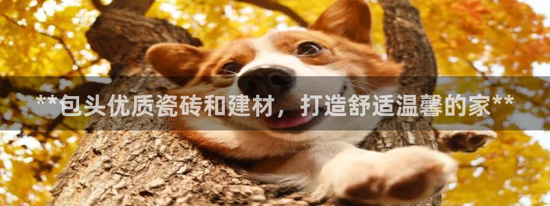 杏鑫娱乐是真的吗还是假的