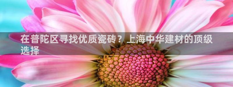 杏鑫平台测速怎么样