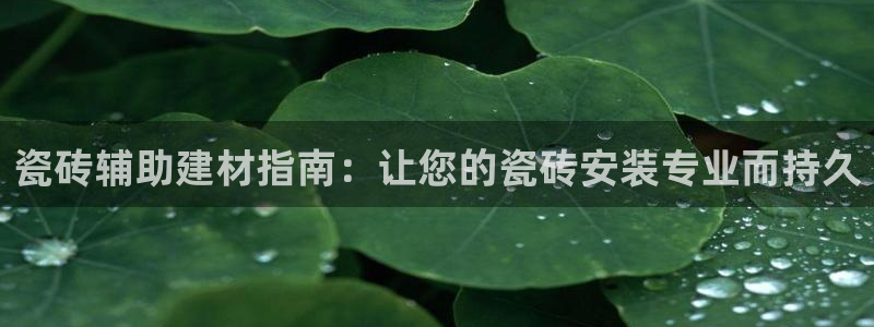杏鑫平台是黑平台吗