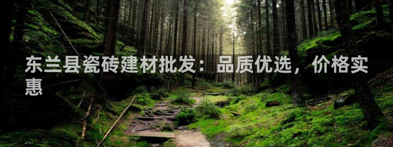 杏鑫平台代理怎么做