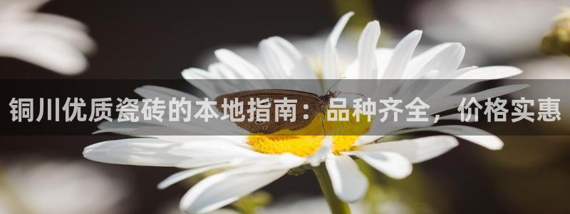 杏鑫平台正规吗是真的吗