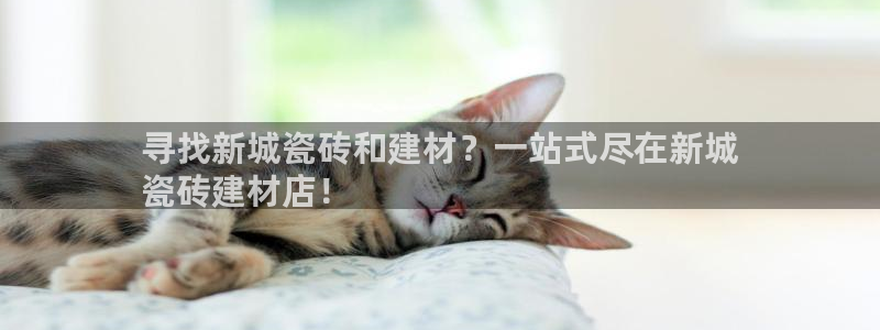 杏鑫平台怎么样黑钱吗知乎