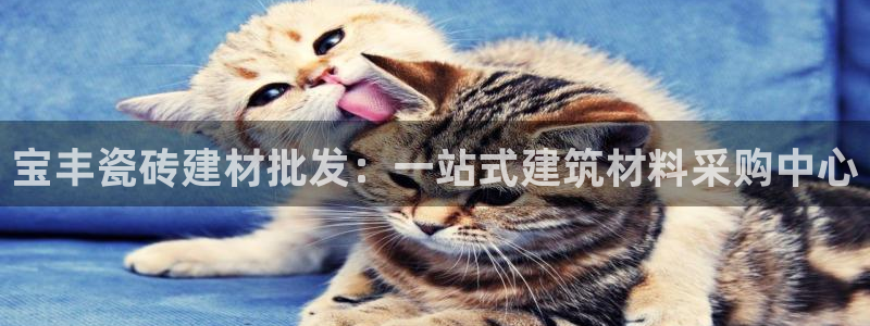 杏鑫平台正规吗可信吗