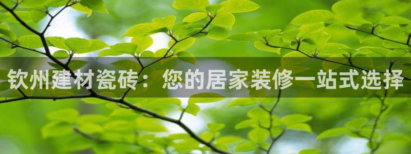 杏鑫平台怎么样知乎