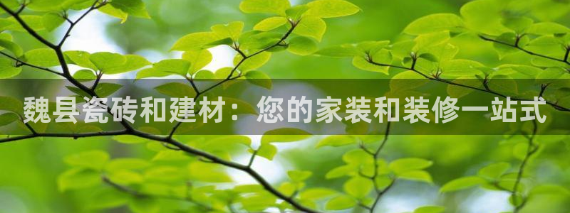杏鑫平台正规吗是真的吗