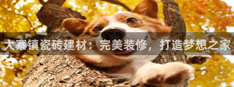 杏鑫招商总代