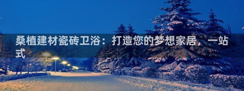 杏鑫官网最新信息