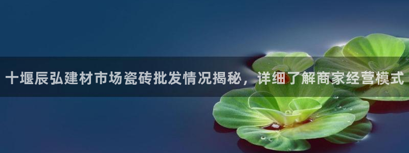 杏鑫平台正规吗是真的吗
