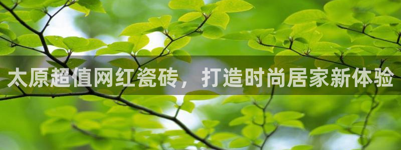 杏鑫平台是黑平台吗知乎