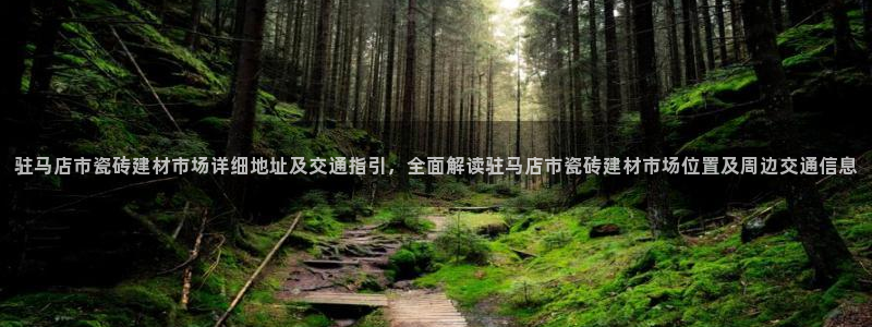 杏鑫3主管