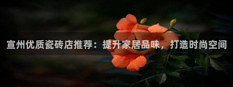 杏鑫平台是黑平台吗是真的吗